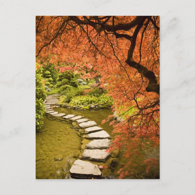 CANADA, British Columbia, Victoria. Höst Vykort (Framsida)