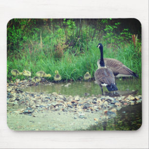 Canada Goose Family Spädbarn Nature Musmatta