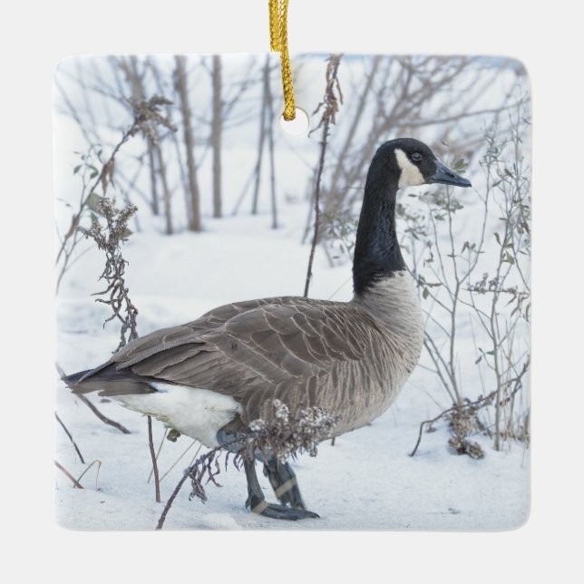 Canada Goose in Snow Ornament (Framsida)