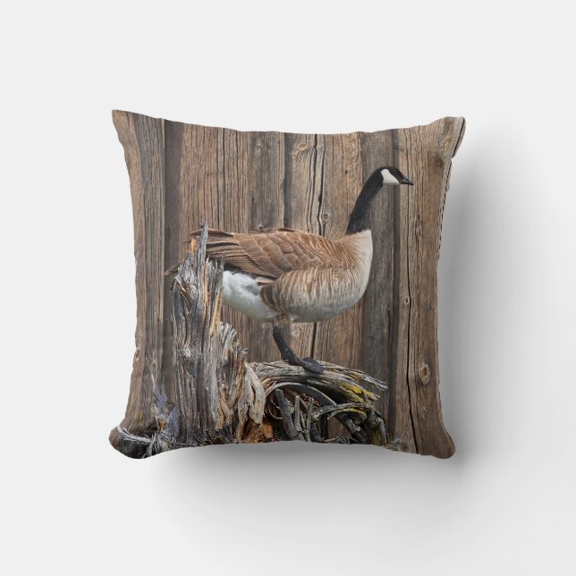 CANADA GOOSE KUDDE (Framsida)