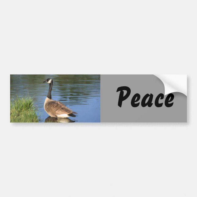 Canada Goose Peace Bumper Sticker Bildekal (Framsidan)