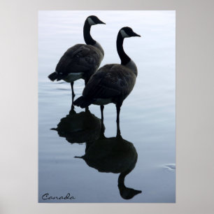 Canada Goose Poster Anpassningsbar Canada Souvenir