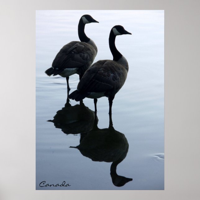 Canada Goose Poster Anpassningsbar Canada Souvenir (Framsidan)