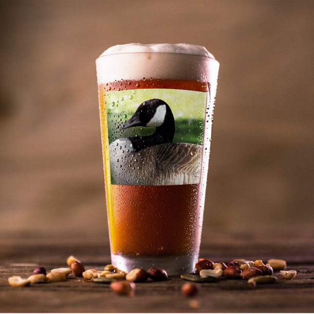 Canada Goose Wildlife Photo Glaskopp (In Situ Beer)