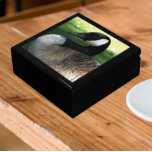 Canada Goose Wildlife Photo Minnesask<br><div class="desc">För djur och natur älskare! Lagra kryddor,  smycken och andra små keepsaker i den här presentlådan av trä med keramiskt plattor som ger en bild av ett vackert kanadengosfoto. Markera din presentlåda storlek och färg.</div>