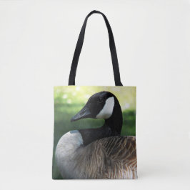 Canada Goose Wildlife Photo Tygkasse