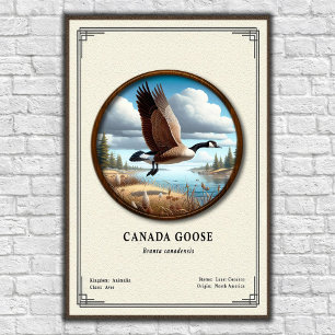 Canada Goose Zoologi Serie Poster