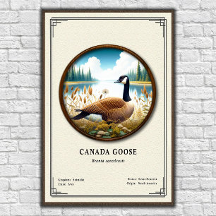 Canada Goose Zoologi Serie Poster