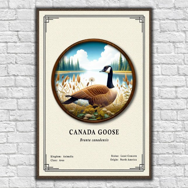 Canada Goose Zoologi Serie Poster (Skapare uppladdad)