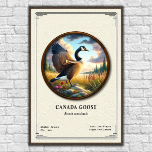 Canada Goose Zoology Series Affisch