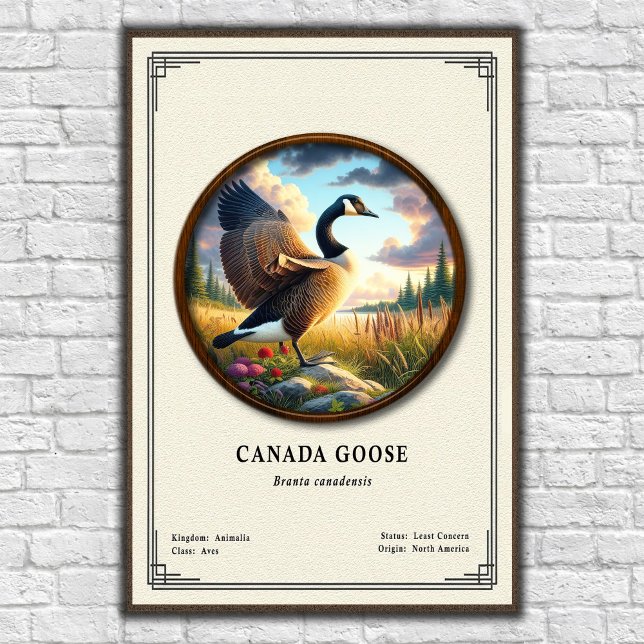Canada Goose Zoology Series Poster (Skapare uppladdad)