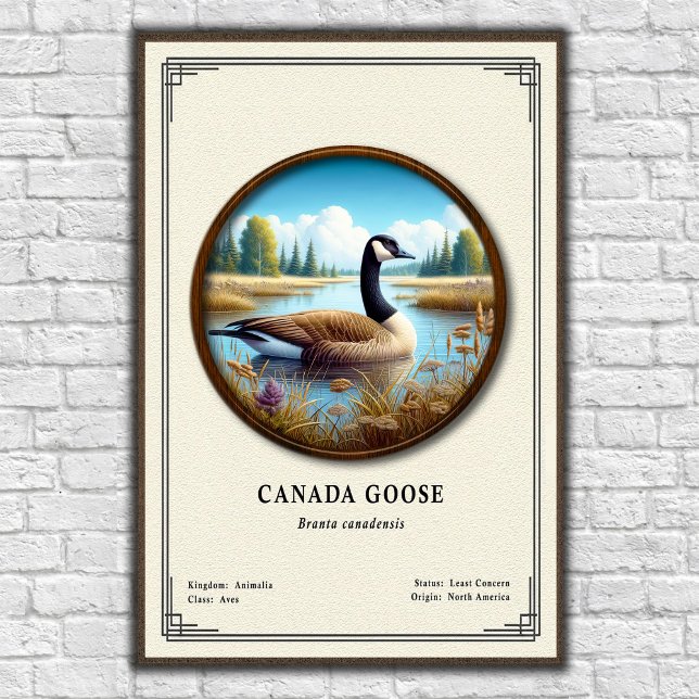 Canada Goose Zoology Series Poster (Skapare uppladdad)