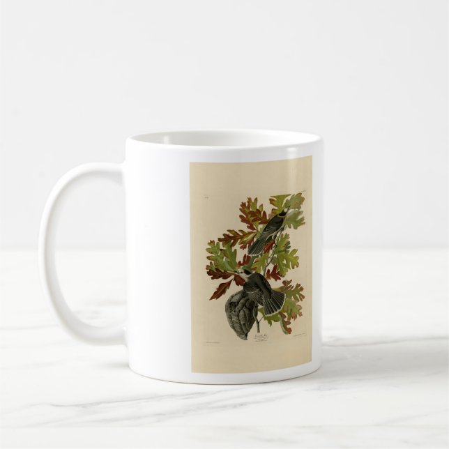 Canada Jay (Grått Jay) - Audubon's Birds of Americ Kaffemugg (Vänster)