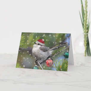 Canada Jay jul Helgkort