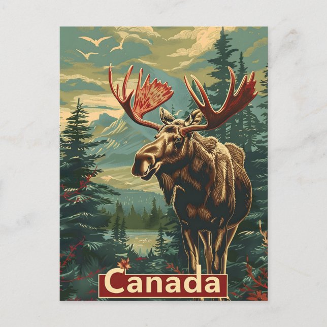 Canada Moose Vintage Vykort (Framsida)