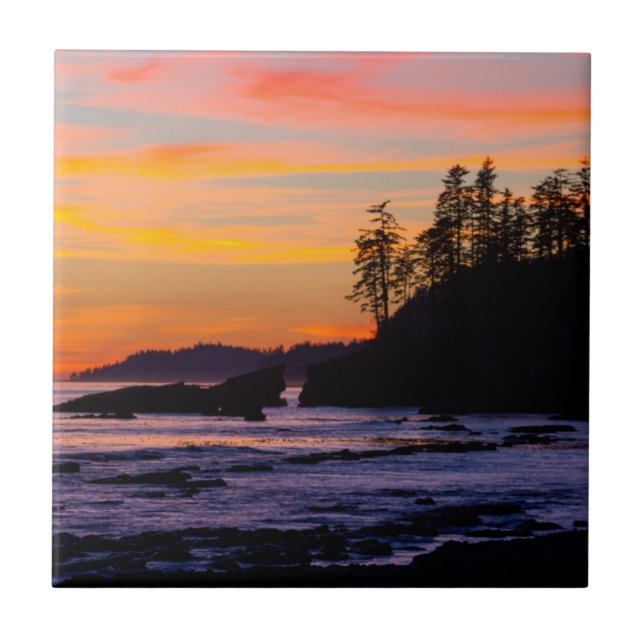 Canada, Pacific Rim National Park Reserve, Väster Kakelplatta (Framsidan)