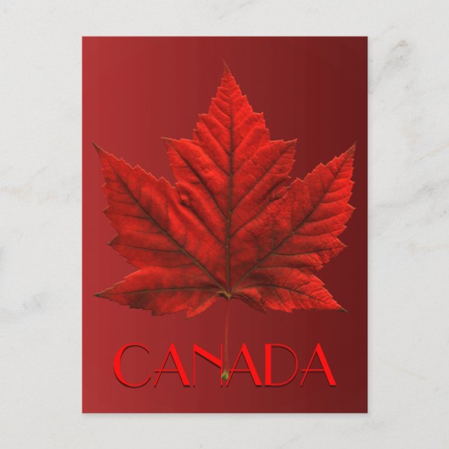 Canada Postcards Anpassningsbar Canada Souvenir Po Vykort (Framsida)