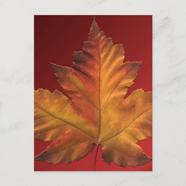 Canada Postcards Anpassningsbar Canada Souvenir Po Vykort (Framsida)