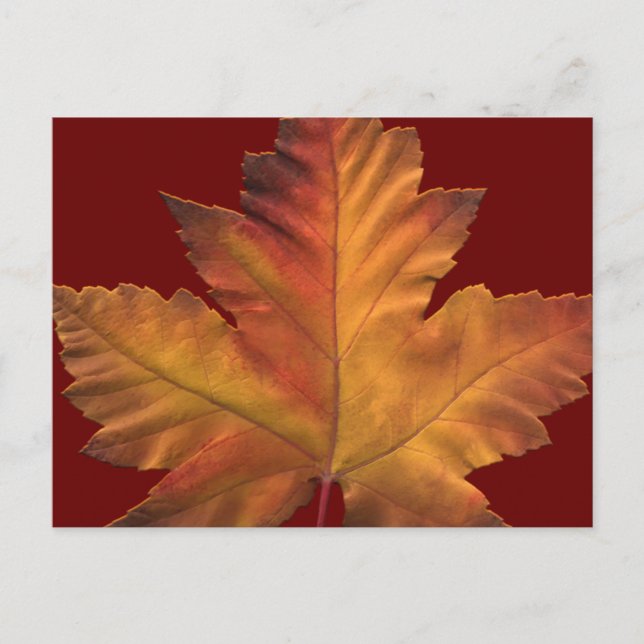 Canada Postcards Anpassningsbar Canada Souvenir Po Vykort (Framsida)