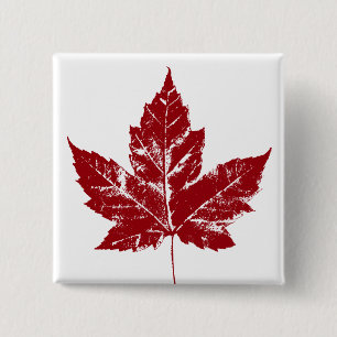 Canada Souvenir Button Coola Canada Buttons Gifts Knapp