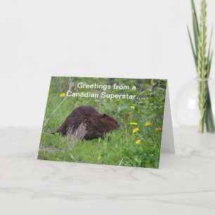 Canadian Beaver Funny Wildlife Greeting Card Kort
