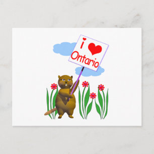 Canadian Beaver Kärlek Ontario Vykort