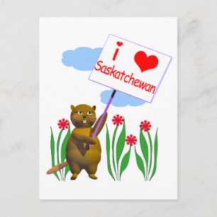 Canadian Beaver Kärlek Saskatchewan Vykort