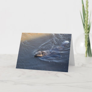 Canadian Beaver Wildlife Greeting Card Kort