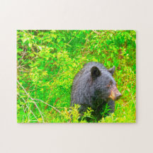 Canadian Brown Bears.