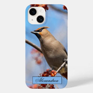 Canadian Brown Bohemian Waxwing Bird Photography