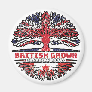 Canadian Canada Uk United British Träd Magnet