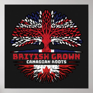 Canadian Canada Uk United British Träd Poster