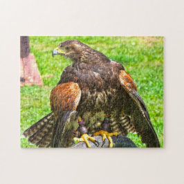 Canadian Eagles. Pussel
