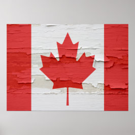 Canadian Flagga Weasted Poster