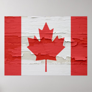Canadian Flagga Weasted Poster