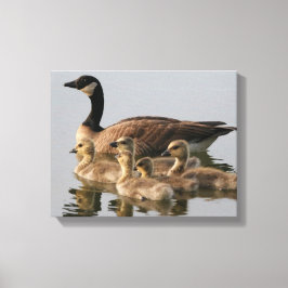 Canadian Geese Bird Älskare Gifts Canvastryck