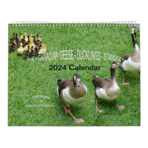 *CANADIAN GEESE* - *DUCKLINGS* STANDOFF 2024 KALENDER
