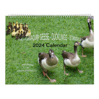 *CANADIAN GEESE* - *DUCKLINGS* STANDOFF 2024 KALENDER