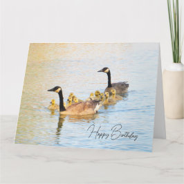 Canadian Geese Family - Birthday Card Kort