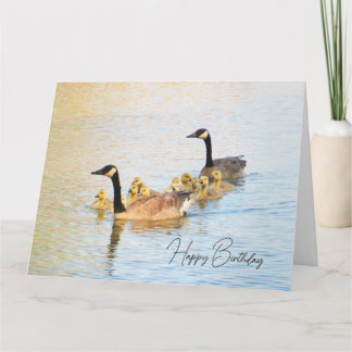 Canadian Geese Family - Birthday Card Kort