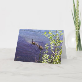 Canadian Geese Family Kort
