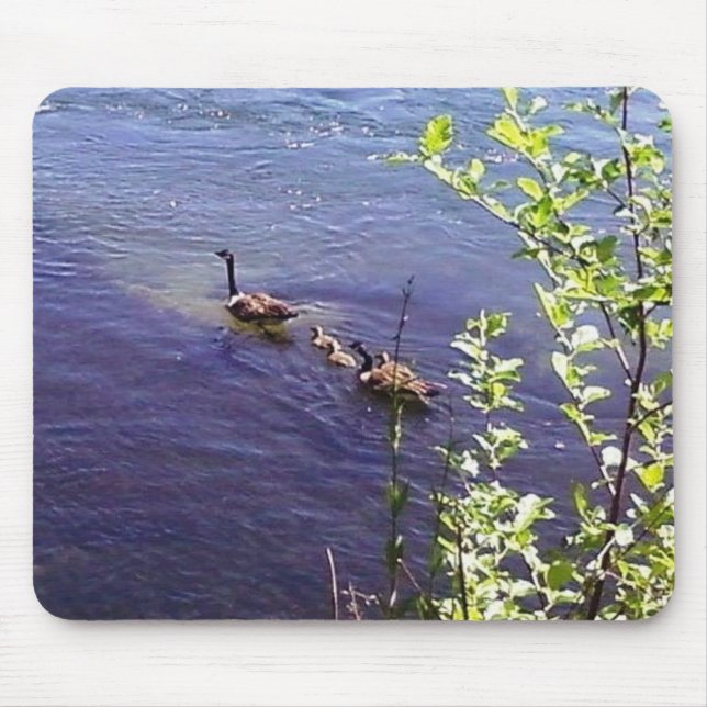 Canadian Geese Family Musmatta (Framsidan)