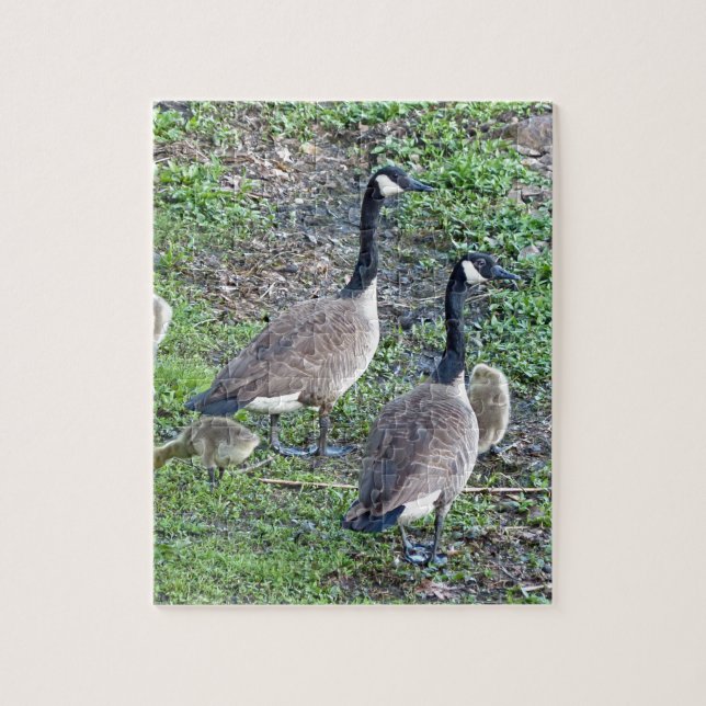 Canadian Geese Family Pussel (Vertikal)
