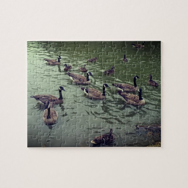 Canadian Geese & Mallard Anka Jigszle Puzzle Pussel (Horisontell)