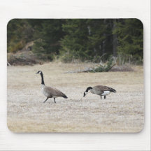 Canadian Geese Mouse Pad