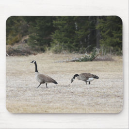 Canadian Geese Mouse Pad Musmatta