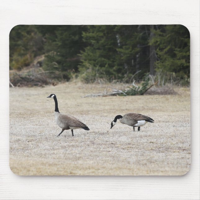 Canadian Geese Mouse Pad Musmatta (Framsidan)