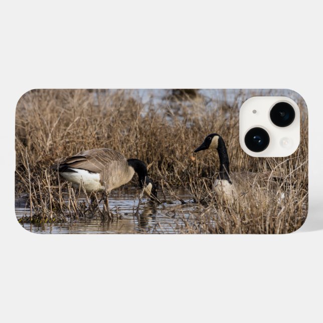 Canadian Geese Snack Time iphone case (Baksida (horisontell))