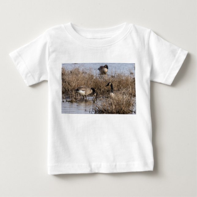 Canadian Geese Snack Time T Shirt (Framsida)