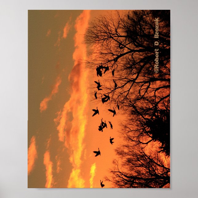 Canadian Geese Sunset Silhouette Wood Poster. Woo Poster (Framsidan)